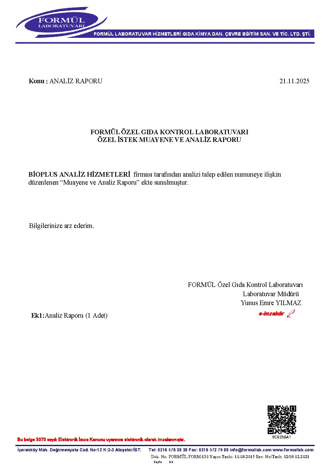 Analiz Raporu — 1. sayfa önizleme